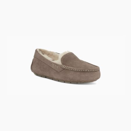 UGG Ansley - Tøfler Dame - Beige (NO-K373)